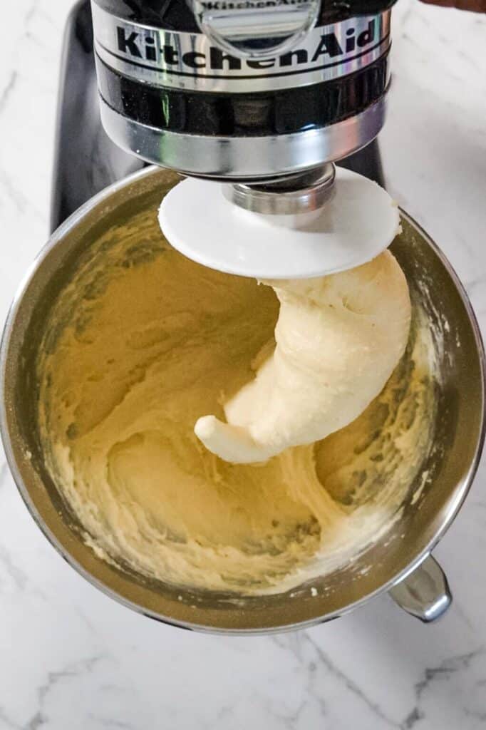 stand mixer with dough hook and dough