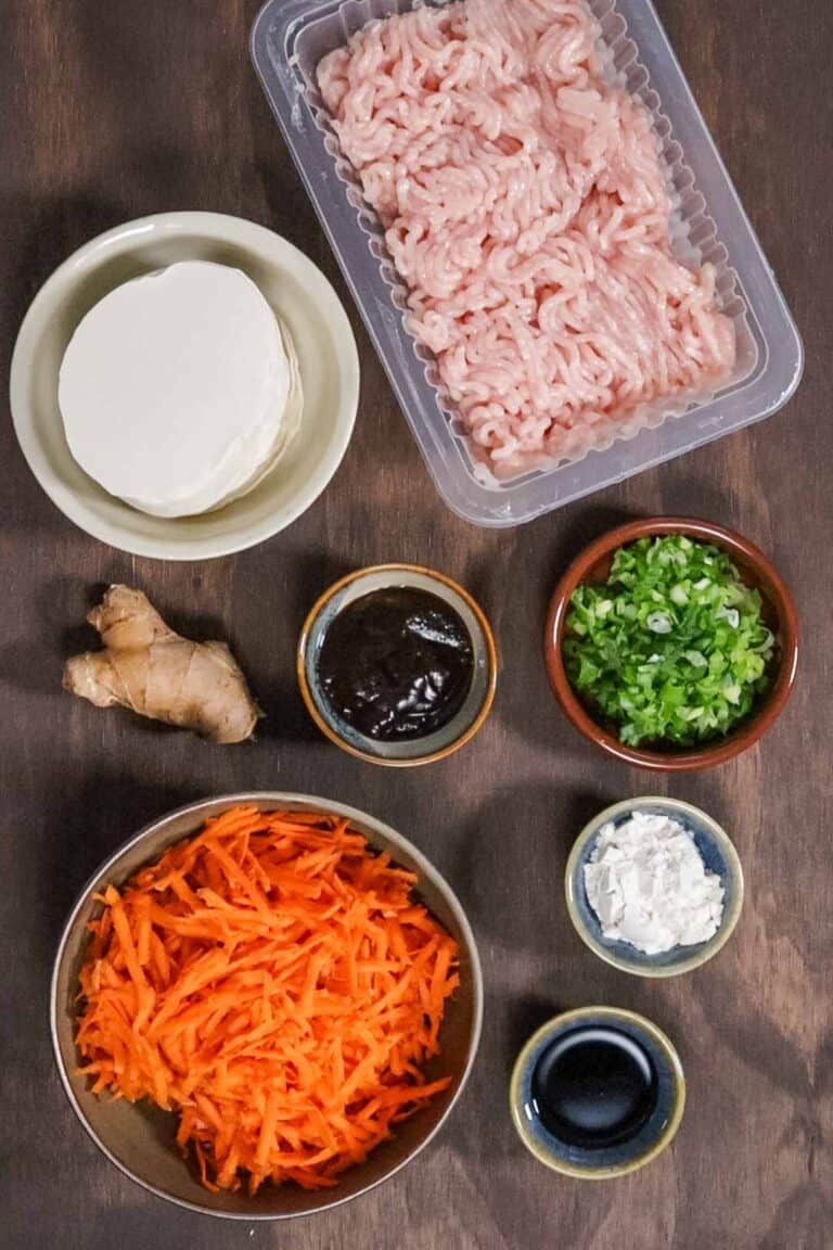 Chicken Steamed Dumplings (and how to steam dumplings at home) Steam