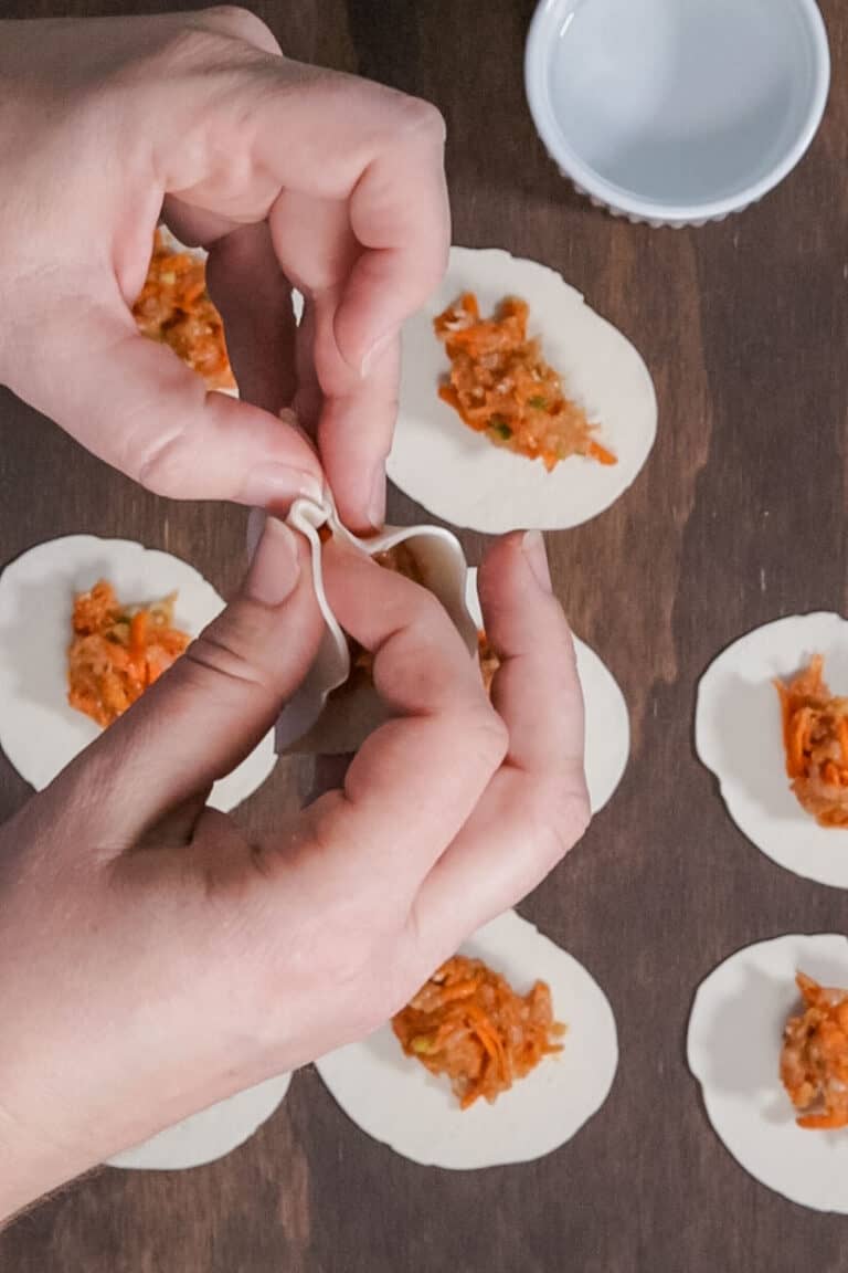 Chicken Steamed Dumplings (and how to steam dumplings at home) Steam