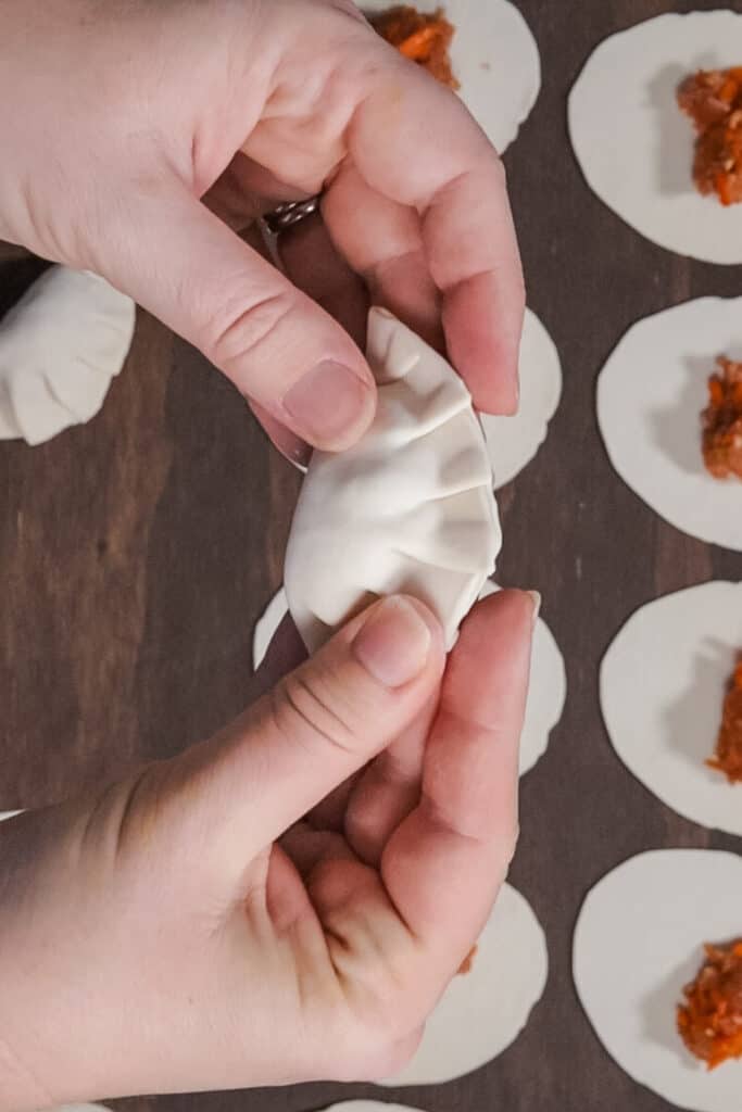Two hands holding a pleated, filled chicken dumpling ready to steam. In the background are more dumpling wrappers with filling sitting on top of them ready for pleating.