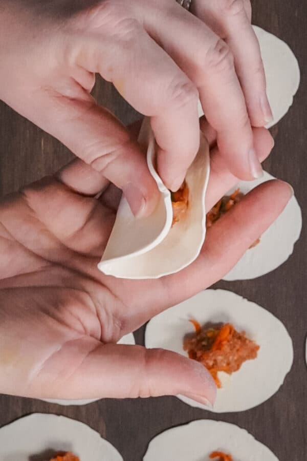 Chicken Steamed Dumplings (and how to steam dumplings at home) Steam