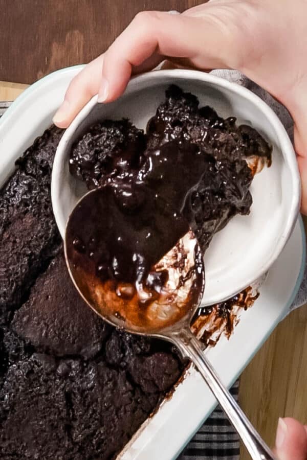 Quick Self Saucing Steam Oven Chocolate Pudding Steam & Bake