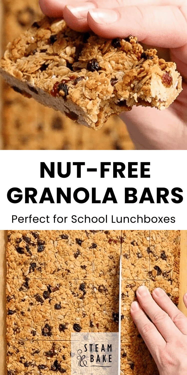 Nut Free Granola Bars (NutFree Muesli Bars) Steam & Bake