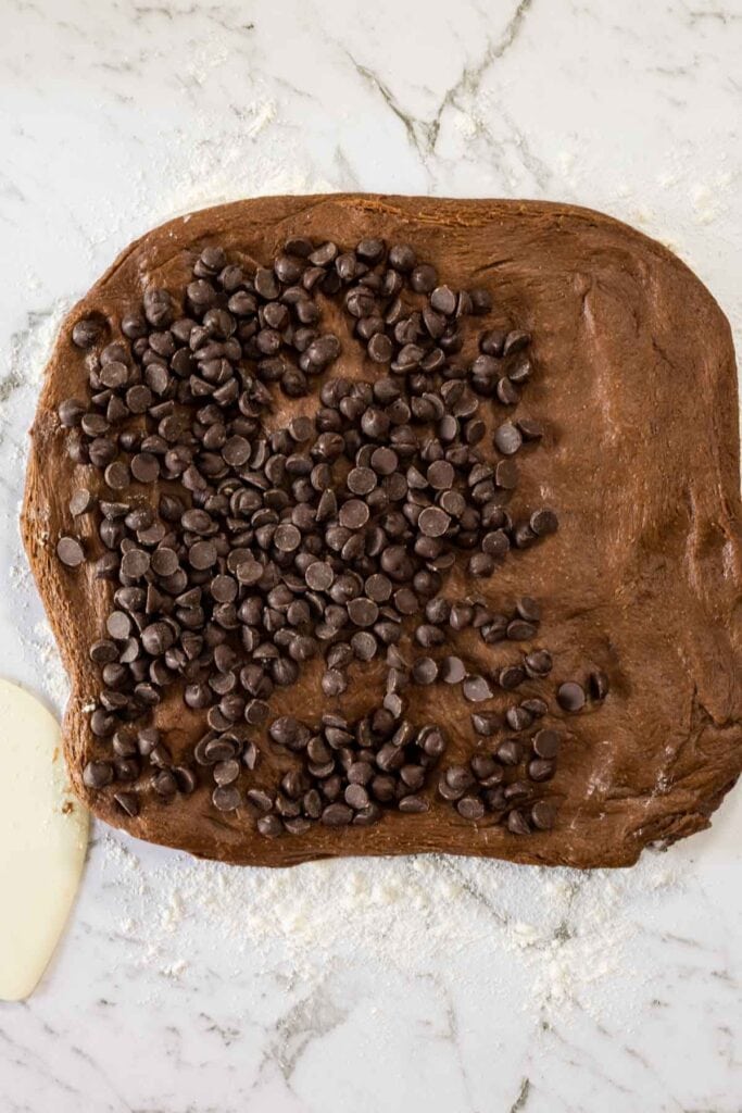 Chocolate chips spread across a square of chocolate bread dough.