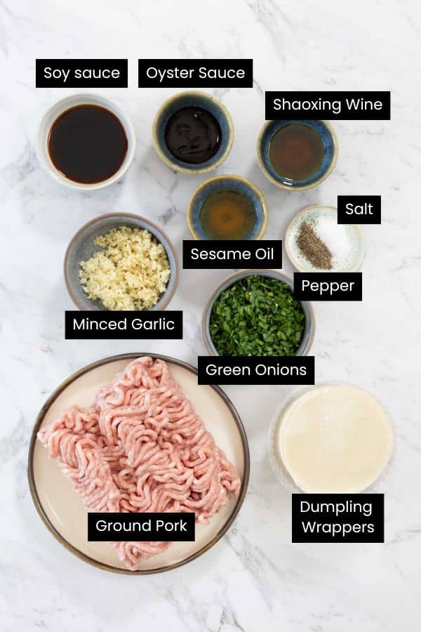 Overhead view of raw ground meat, round dumpling wrappers, chopped green onions, minced garlic, and various liquid seasonings in small bowls on a marble surface for dumpling lasagne