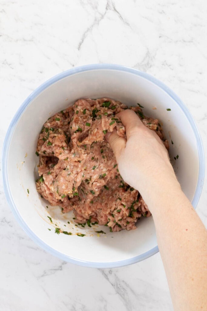 Hand mixes ground pork, chopped green onions, and minced aromatics in a large white bowl for dumpling lasagne.
