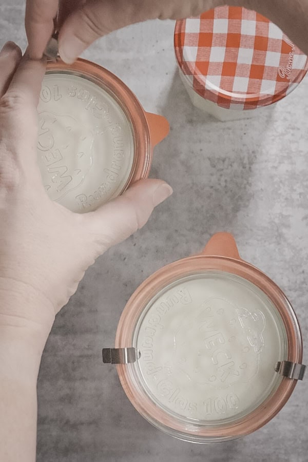 Sealing jars filled with homemade yogurt mixture.