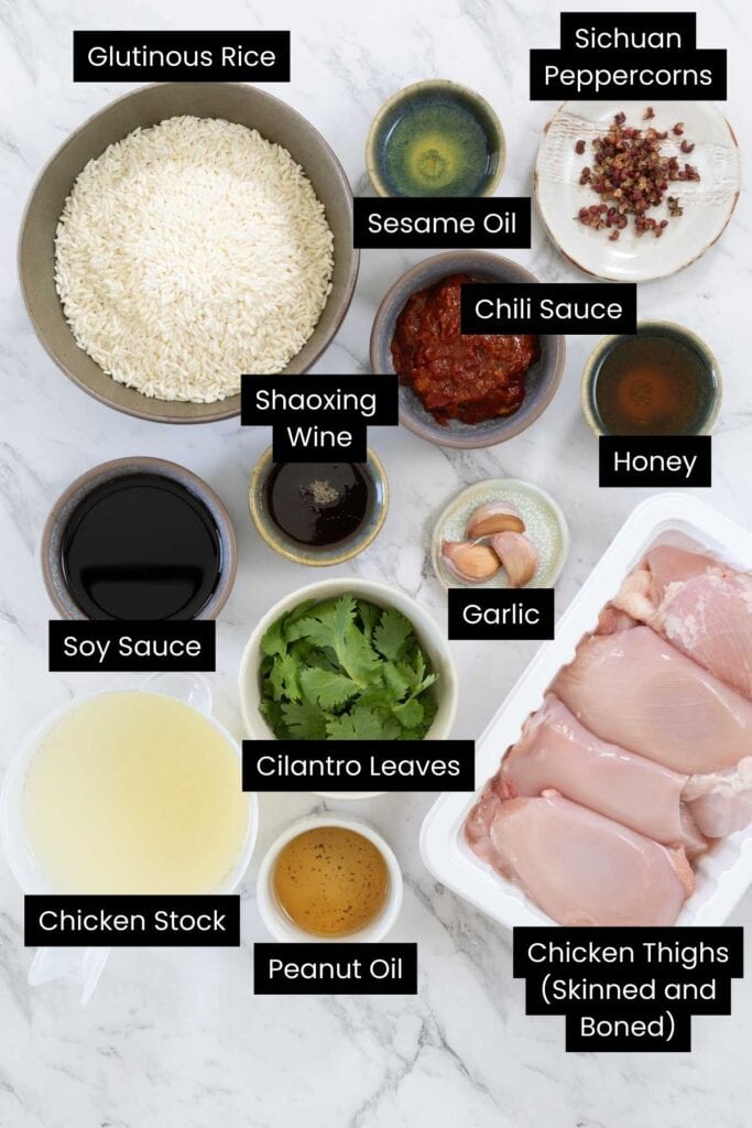 Overhead view of Sichuan Chicken with Sticky Rice ingredients with labels